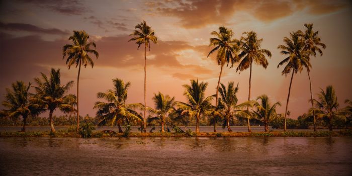 Wayanad
